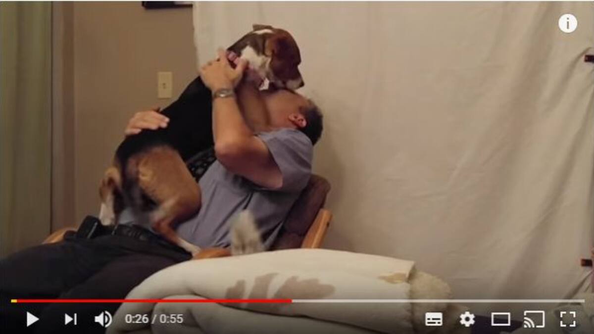 Perrita rescatada agradece a su nuevo dueño y la reacción te hará llorar
