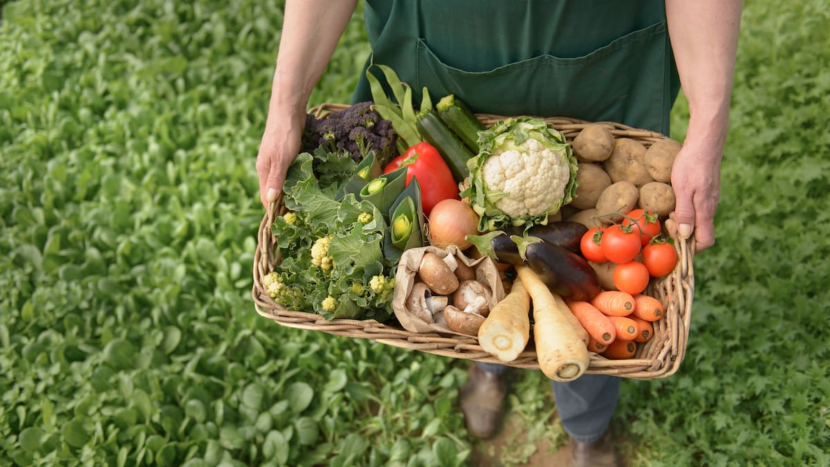 ¿Qué es la agricultura regenerativa y por qué va a más?