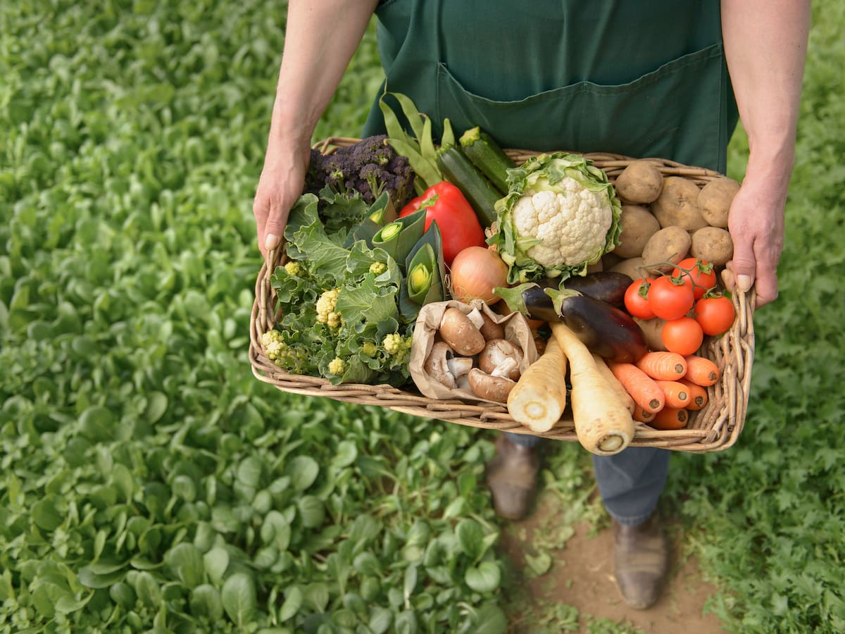 ¿Qué es la agricultura regenerativa y por qué va a más?