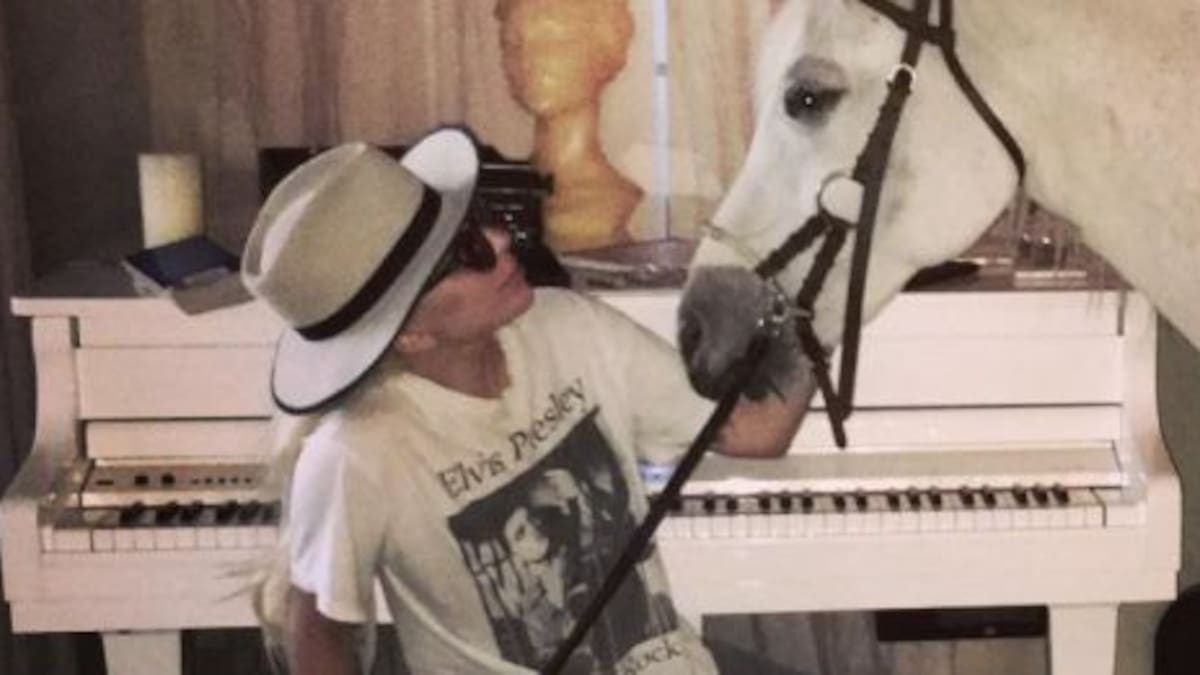 Las remeras rockeras de los famosos