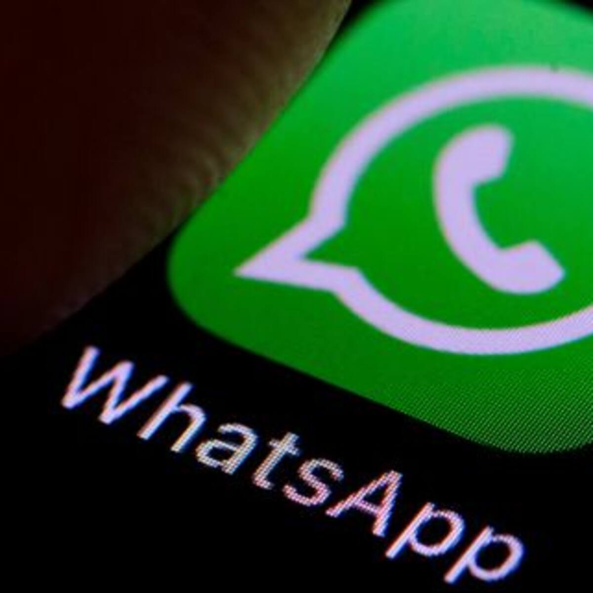 ¿Sabías que WhatsApp tiene una 'función secreta'? Conocé cuál es y cómo activarla