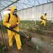 Detectan plaguicidas no autorizados en alimentos españoles