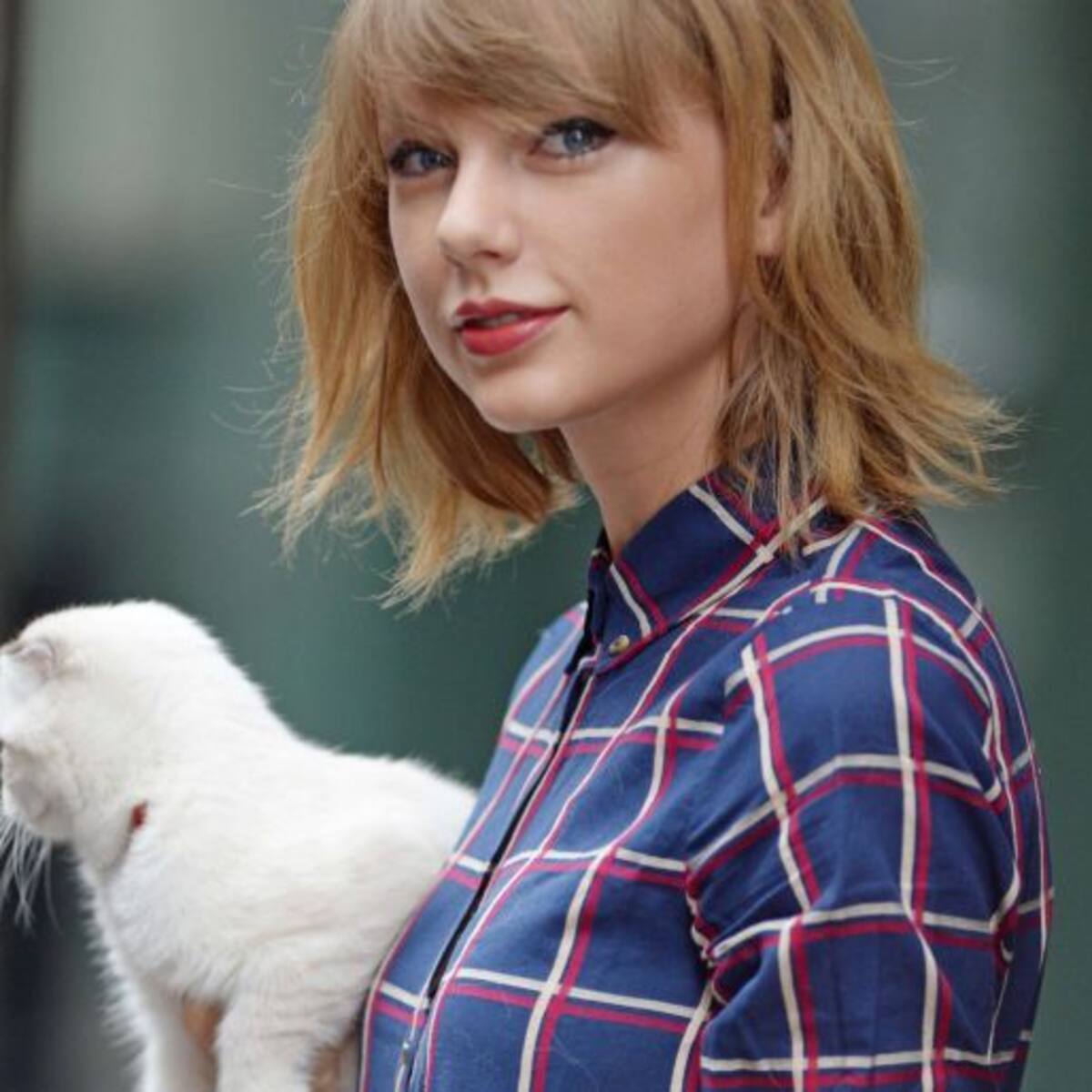 Taylor Swift y sus piernas de 40 millones sufrieron un ataque felino!
