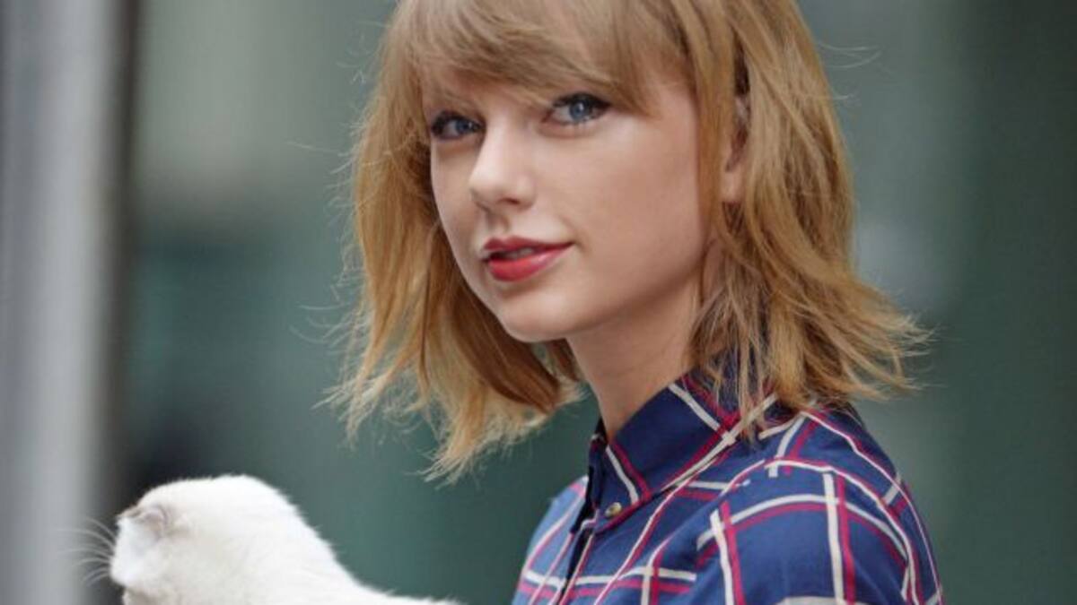 Taylor Swift y sus piernas de 40 millones sufrieron un ataque felino!