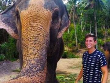 Un elefante le roba el móvil y hace un selfie viral