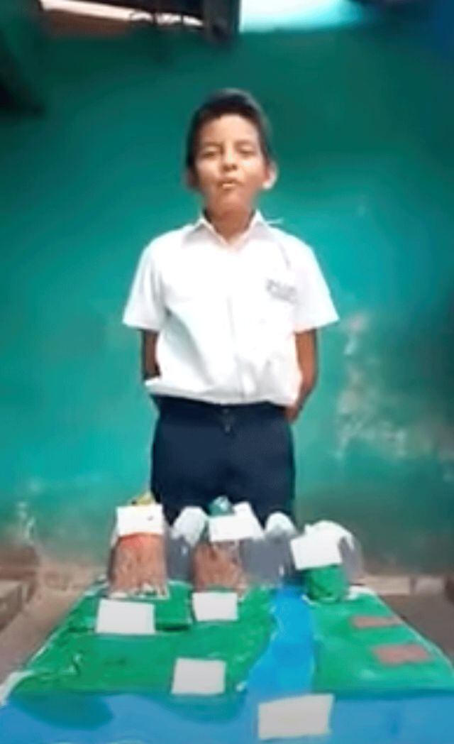 Viral: gato arruina exposición de niño, tira su maqueta en vivo