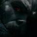 MARVEL PRESENTA A JARED LETO TRANSFORMADO EN MORBIUS, EL ANTIHÉROE DE ‘SPIDERMAN’