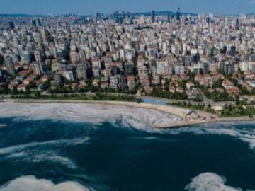 El fitoplancton, un arma contra el cambio climático