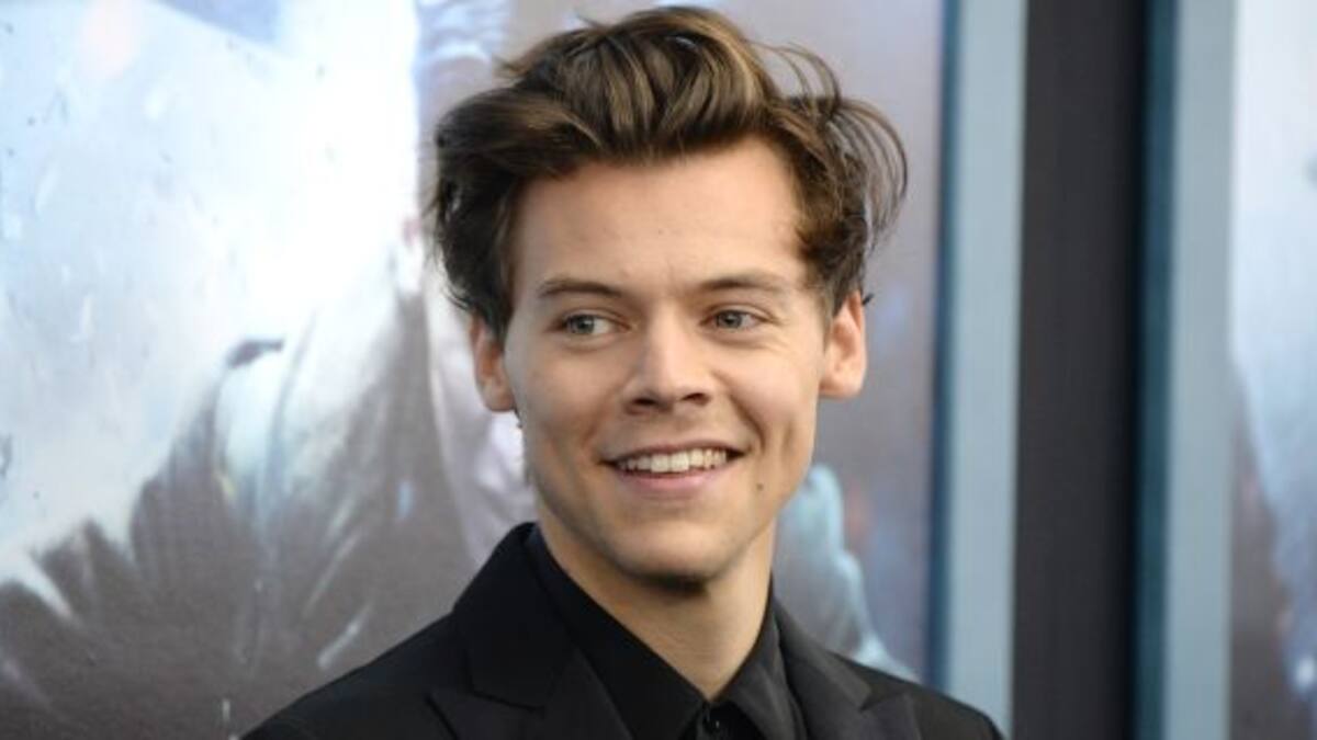 Harry Styles, muy cerca de una bella modelo