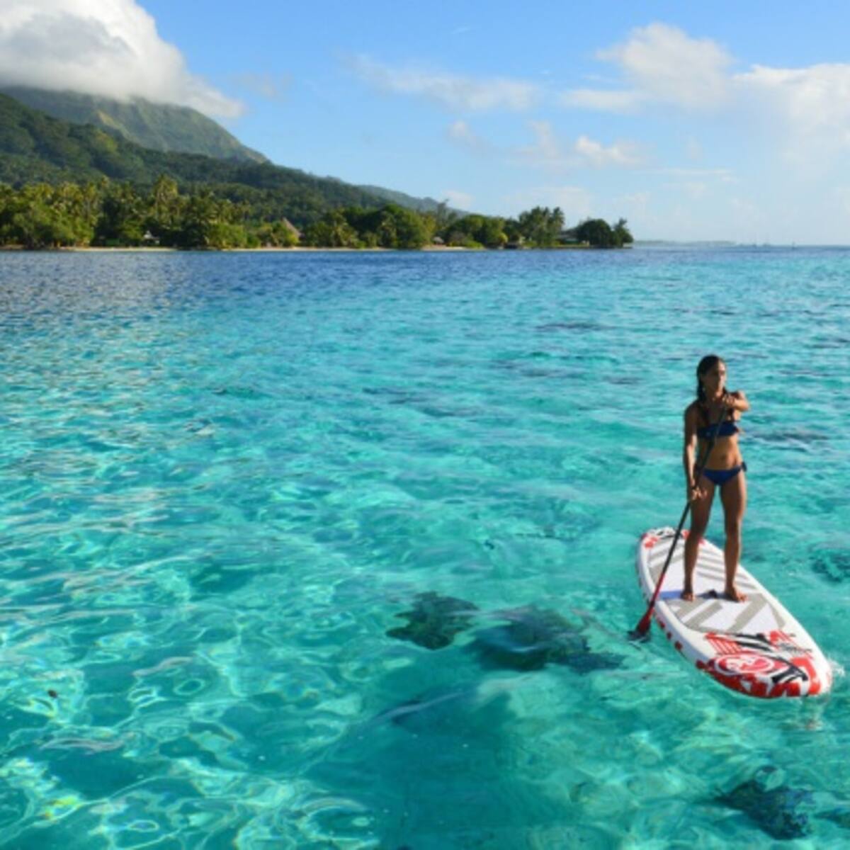 ¡Prueba el SUP!