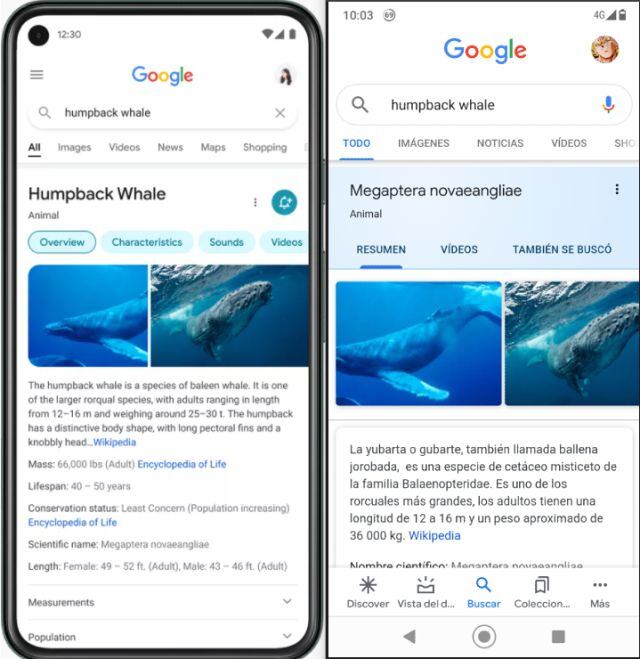 Google rediseña sus búsquedas en smartphones.