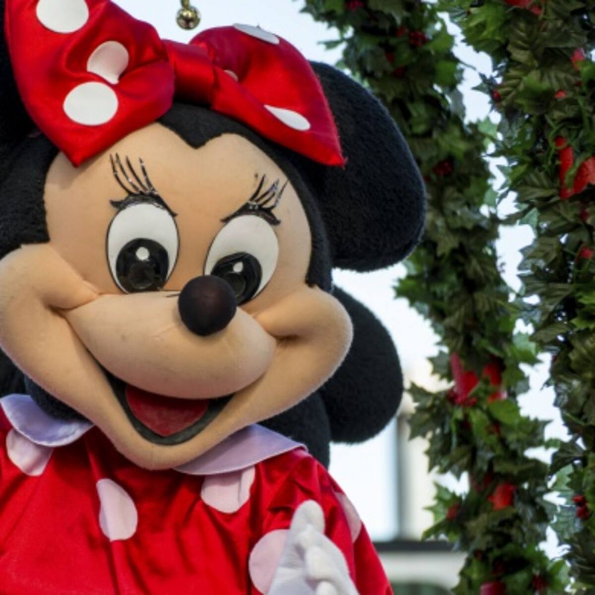 San Bernarminnie pierde los papeles