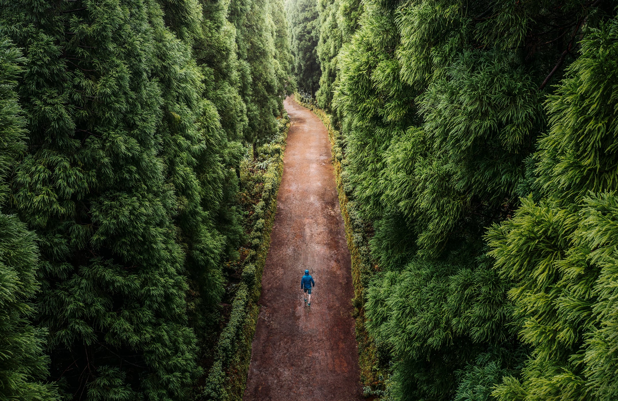 Pasar tiempo en la naturaleza beneficia a nuestra mente.