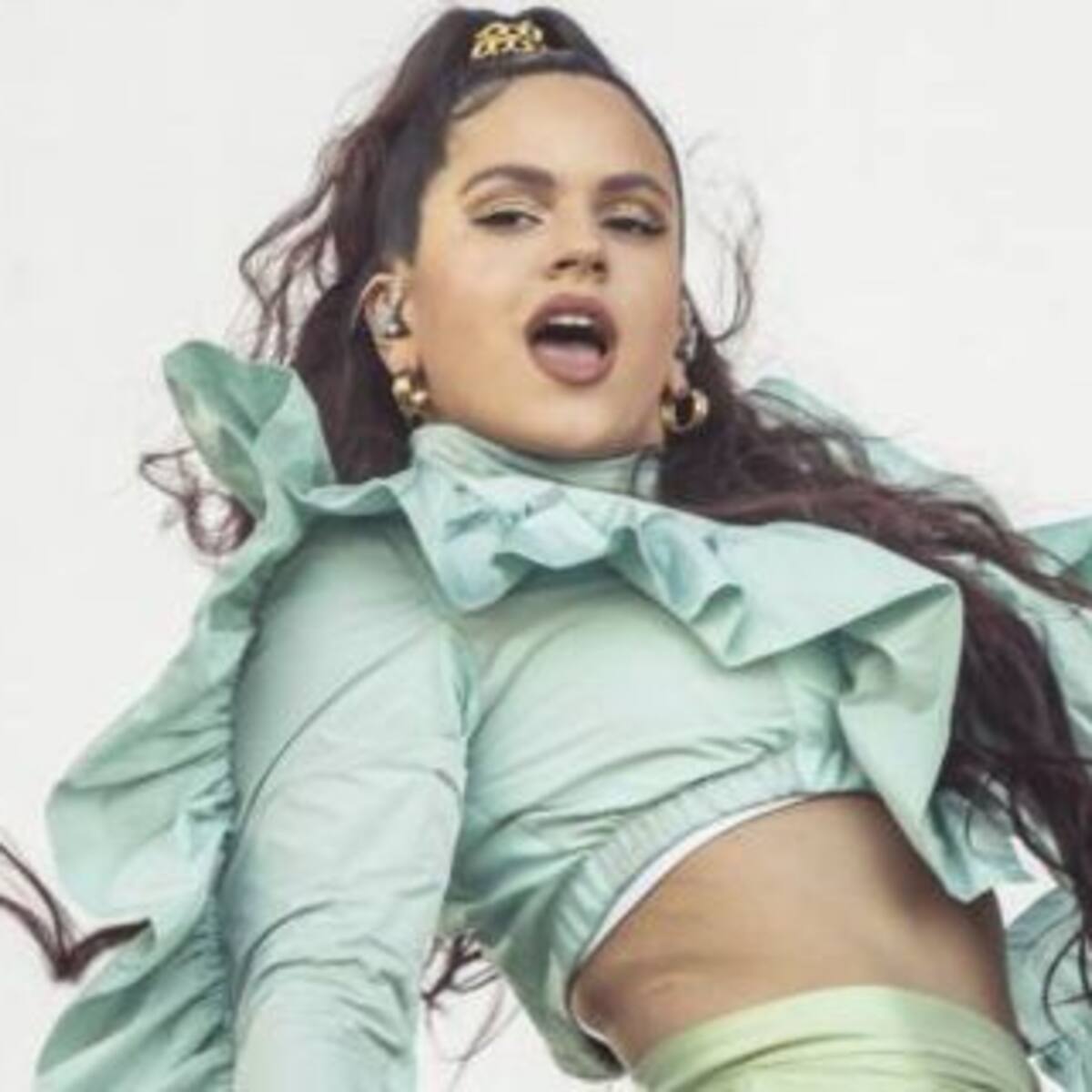 Un fan le pidió matrimonio a Rosalía en pleno show