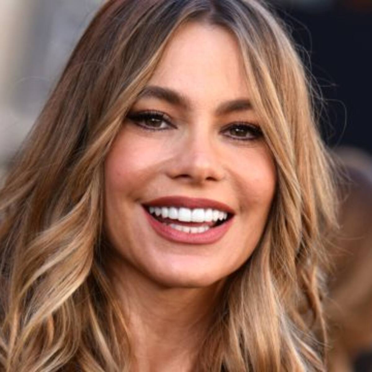 Sofía Vergara se roba los suspiros de sus fans con esta sensual foto