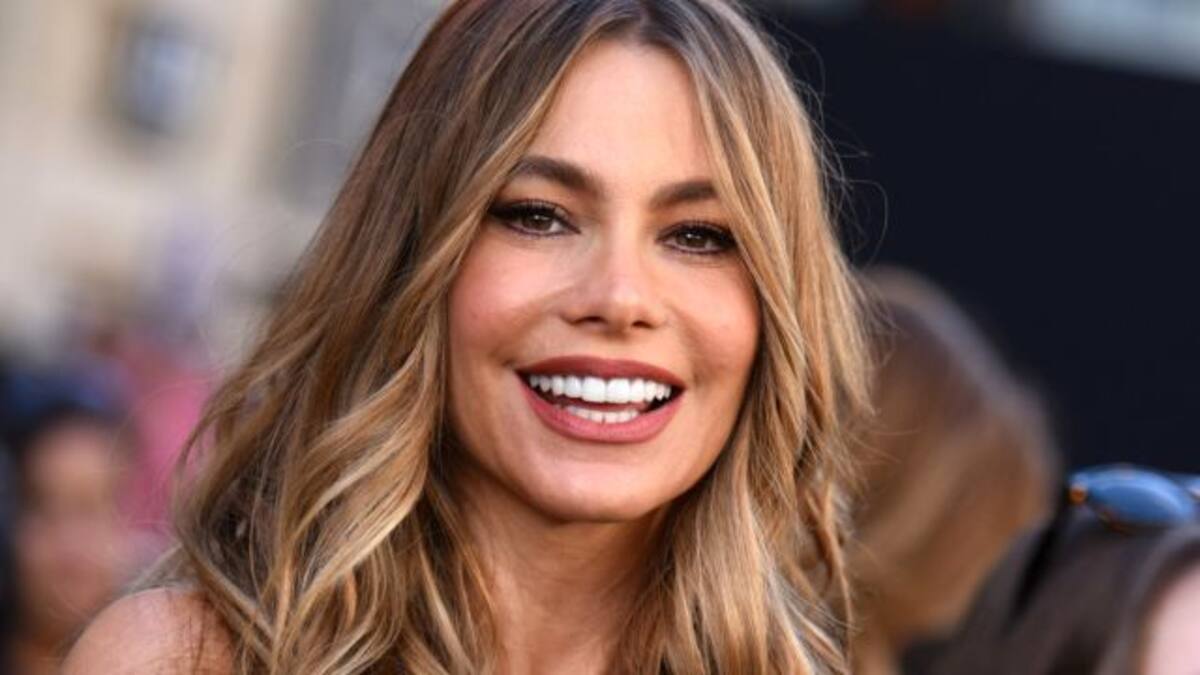 Sofía Vergara se roba los suspiros de sus fans con esta sensual foto