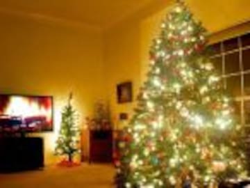 Esta es la manera correcta de colocar las luces del árbol de navidad
