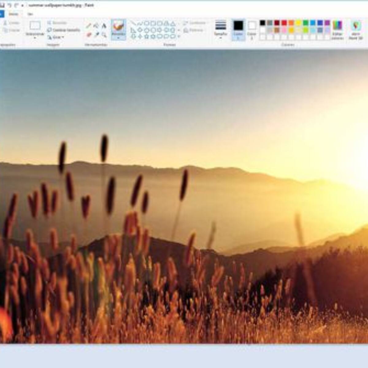 Estos son los mejores memes de la eliminación de “Paint”