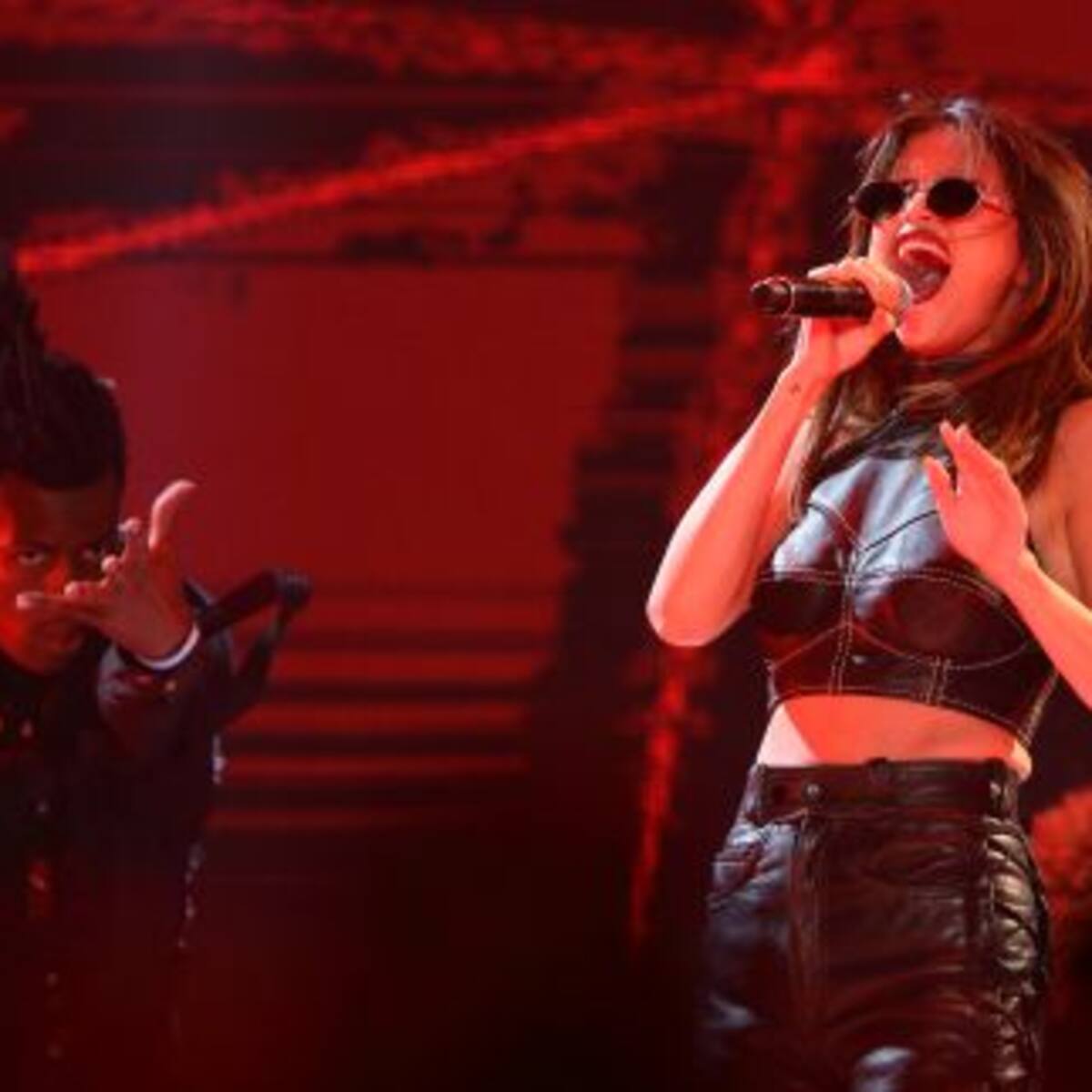 Selena Gómez y una impactante foto para celebrar seguidores