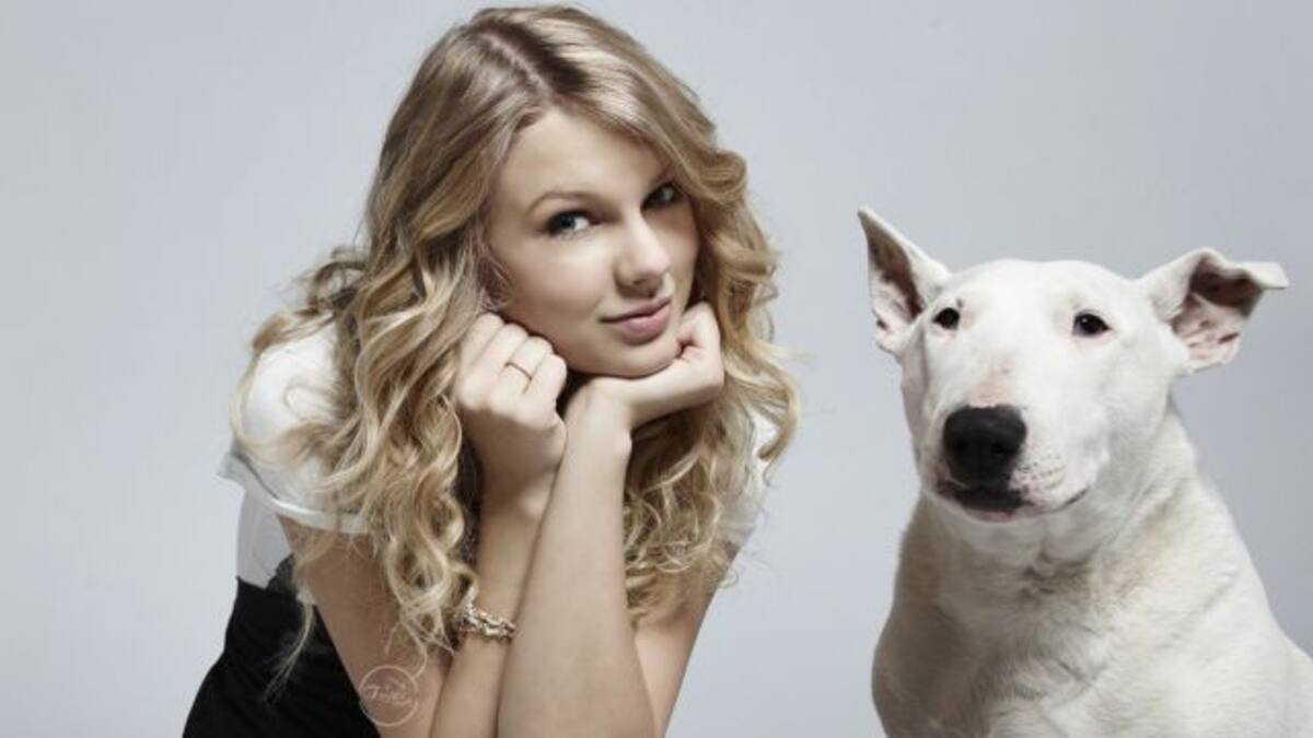 Que tu mascota no pague por tu selfie... ni por otras cosas