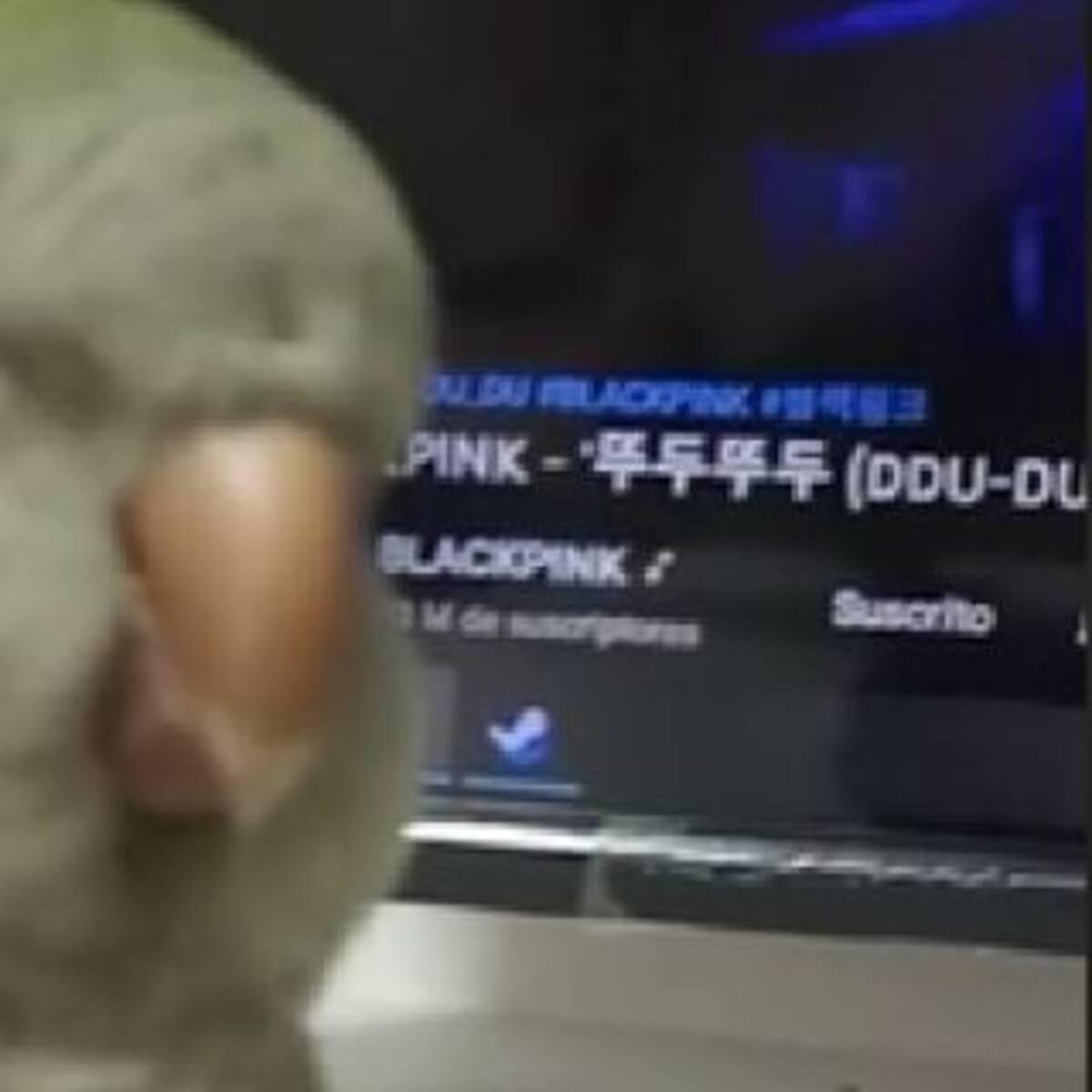 ¡El verdadero BLINK! Mirá el video viral de un lorito cantando una canción de BLACKPINK