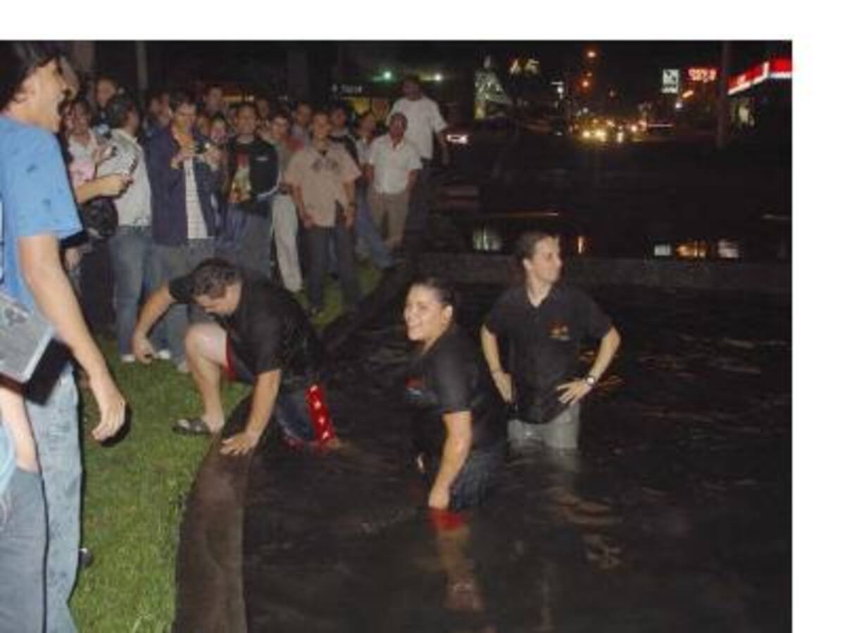 Transmisión Taco Bell, 2 Horas de la Hora sin Nombre