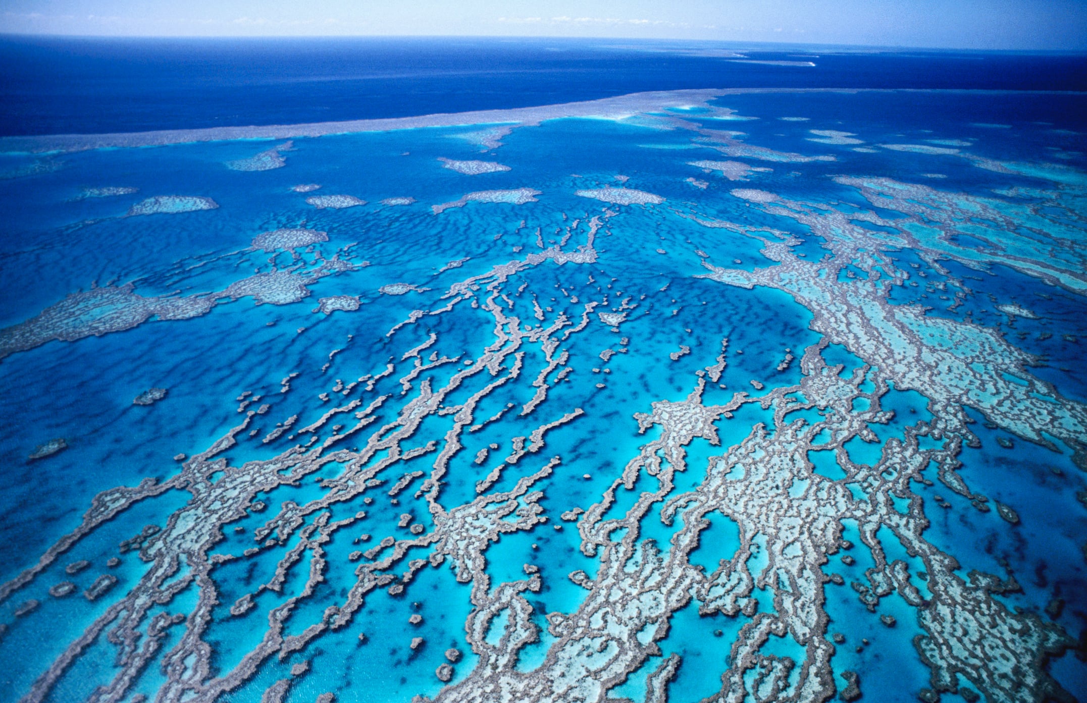 La gran barrera de coral, en Queensland, Australia.