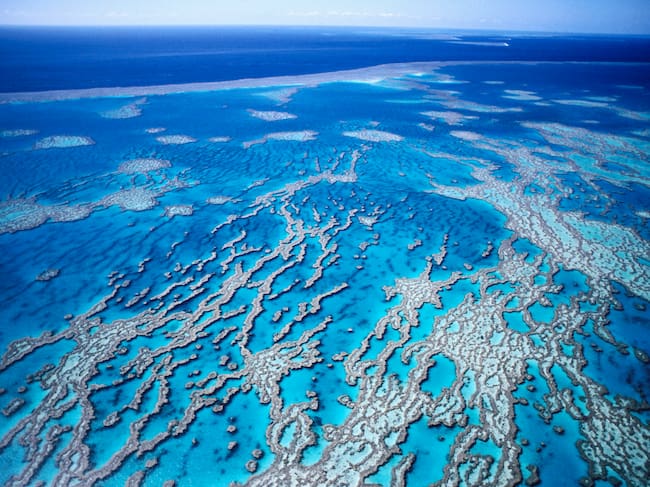 La gran barrera de coral, en Queensland, Australia.