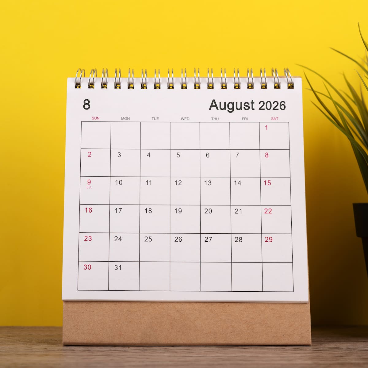 ¿Qué festivos hay en agosto de 2026? Todos los días festivos nacionales, autonómicos y locales