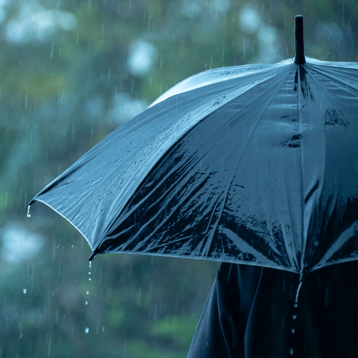 El misterioso olor a lluvia tiene nombre y la ciencia explica por qué nos encanta