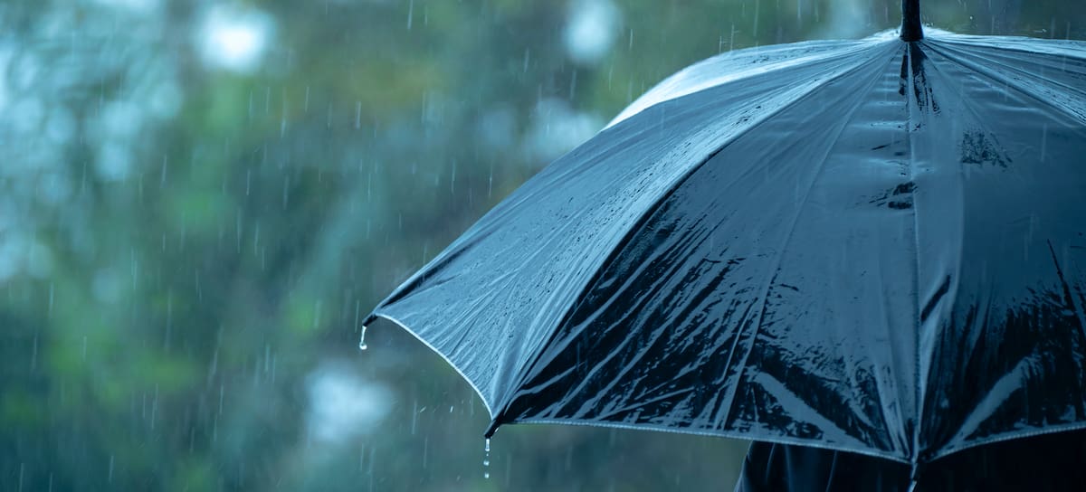 El olor a lluvia nos provoca una sensación de nostalgia y bienestar.