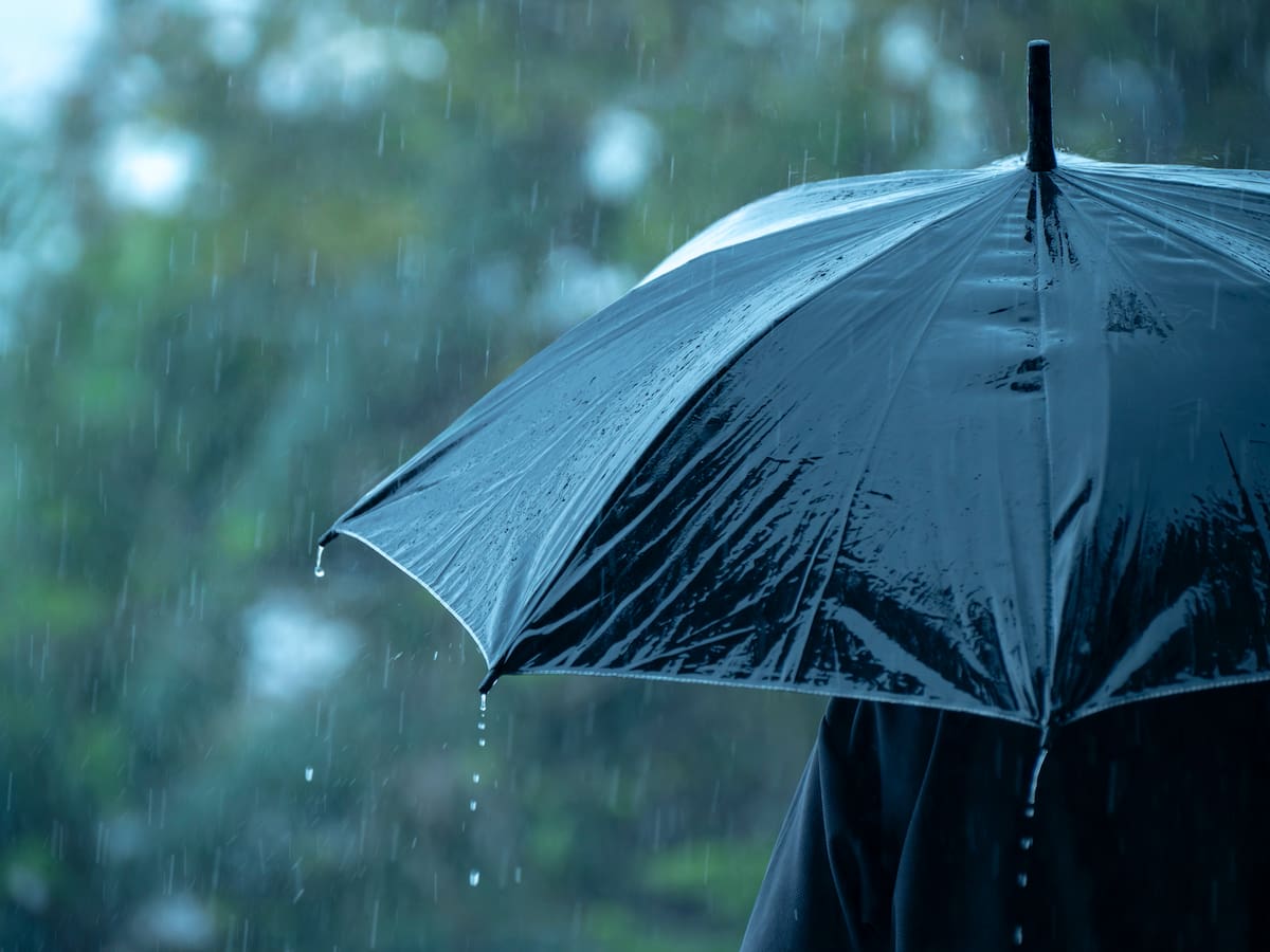 El misterioso olor a lluvia tiene nombre y la ciencia explica por qué nos encanta