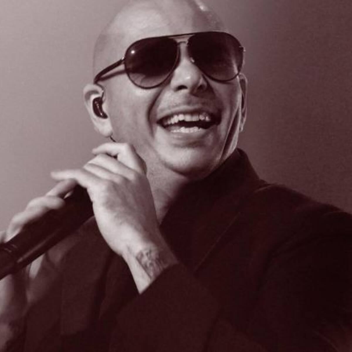 ¿Alguna vez has visto a Pitbull con pelo?