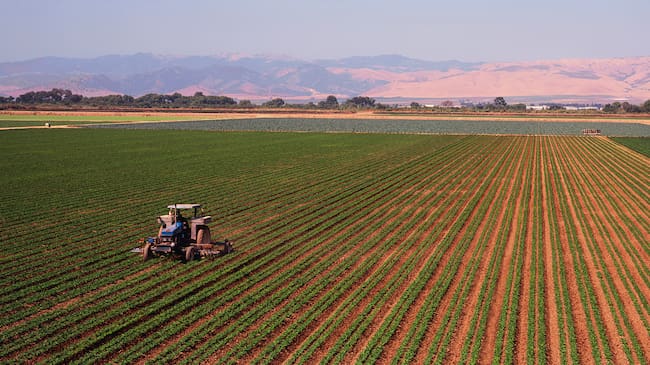 Europa cambia las reglas del juego en materia agrícola.