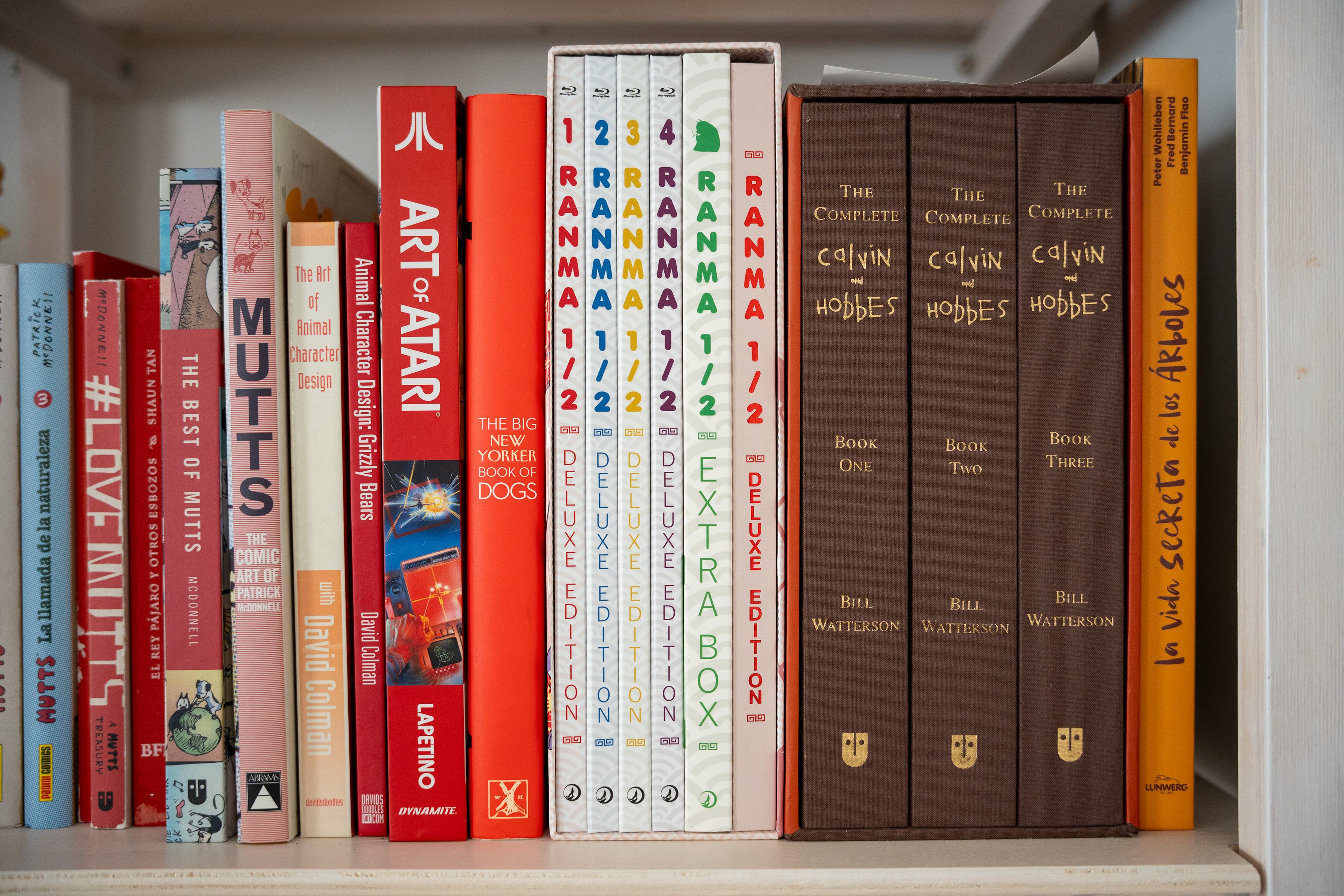 Así queda Ranma 1/2 en tu estantería si te atreves a sacar la edición de su faja de cartón.