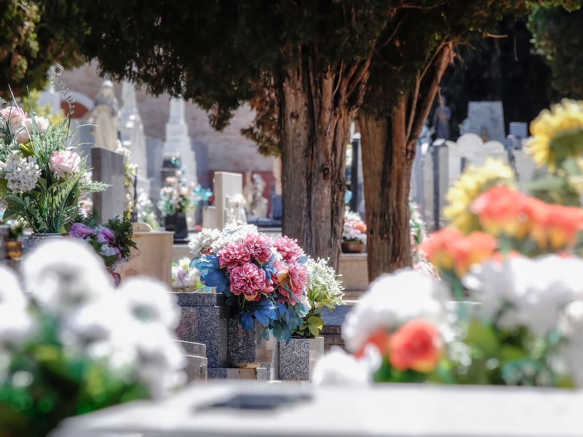 Qué flores comprar este 1 de noviembre, Día de Todos los Santos, para llevar al cementerio y cuáles son sus significados