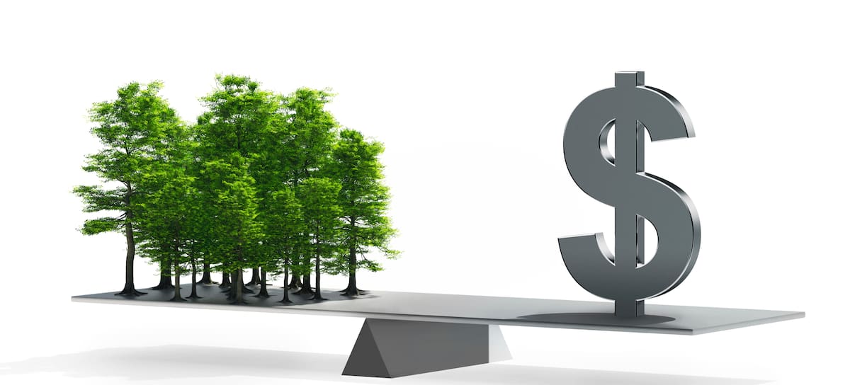 La multa impuesta por deforestación sienta un precedente.