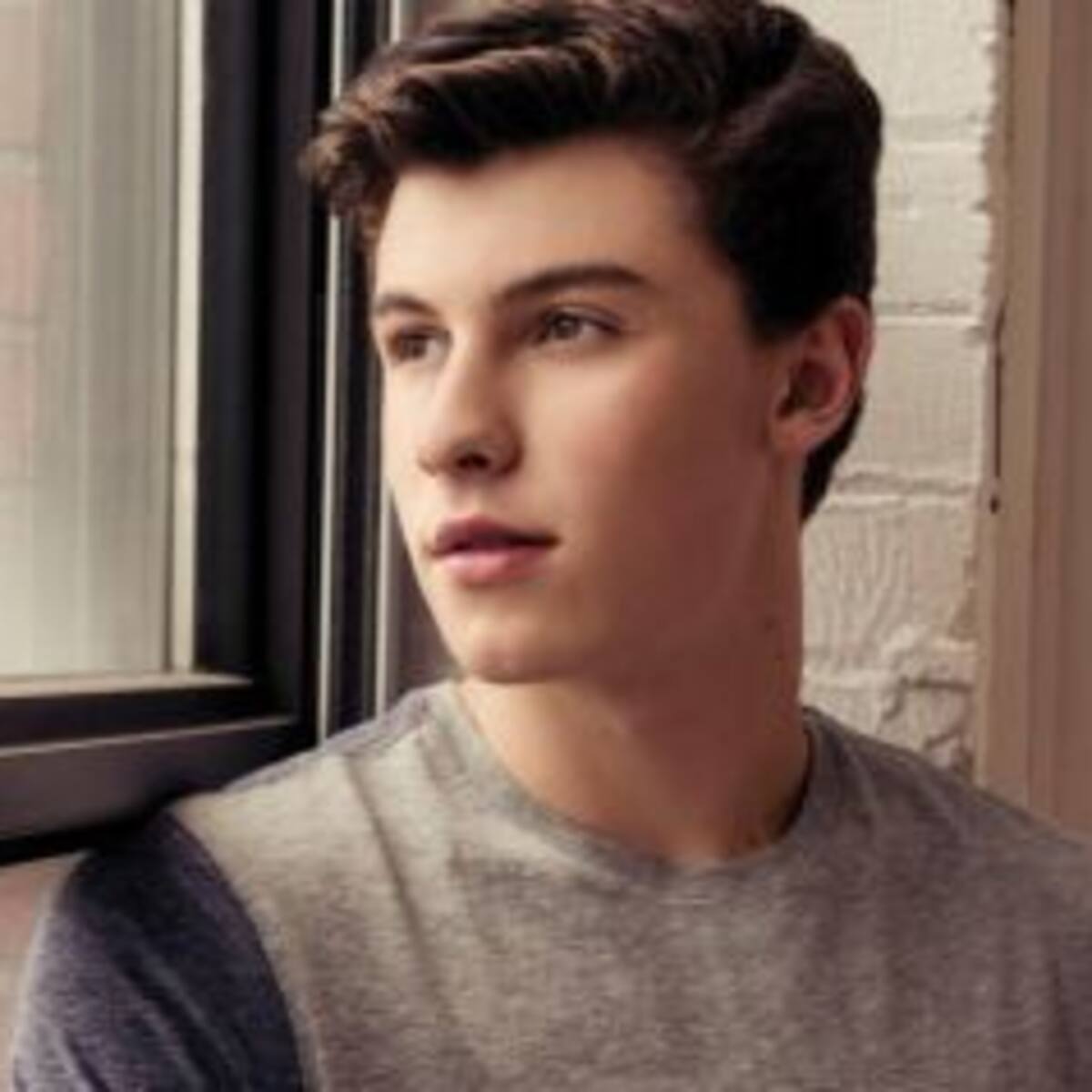 Escuchá el adelanto de "Better", el nuevo corte de Shawn Mendes