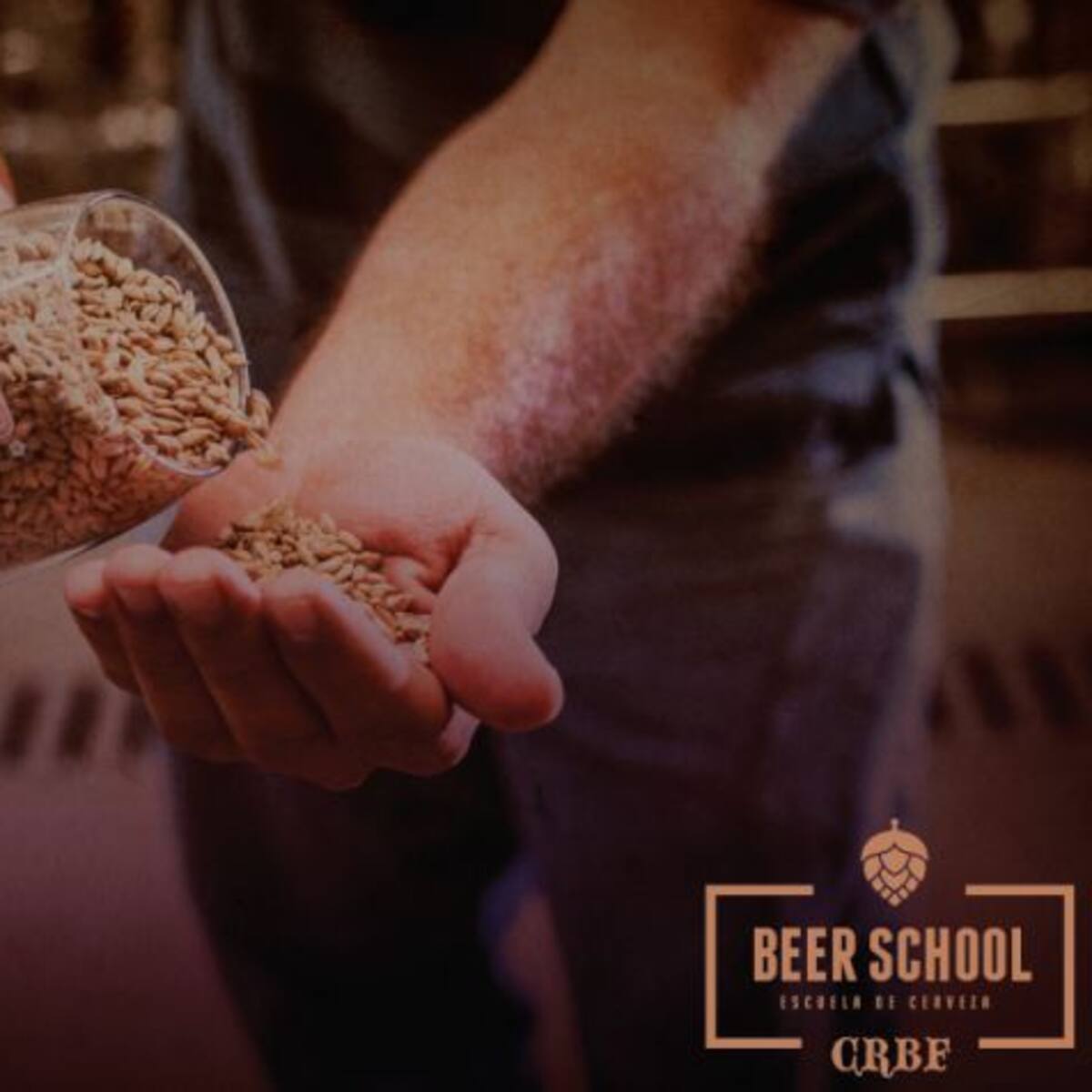 ¿Amás la cerveza? Este curso es para vos