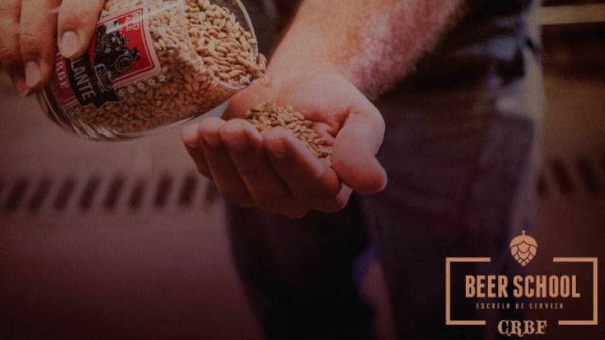 ¿Amás la cerveza? Este curso es para vos