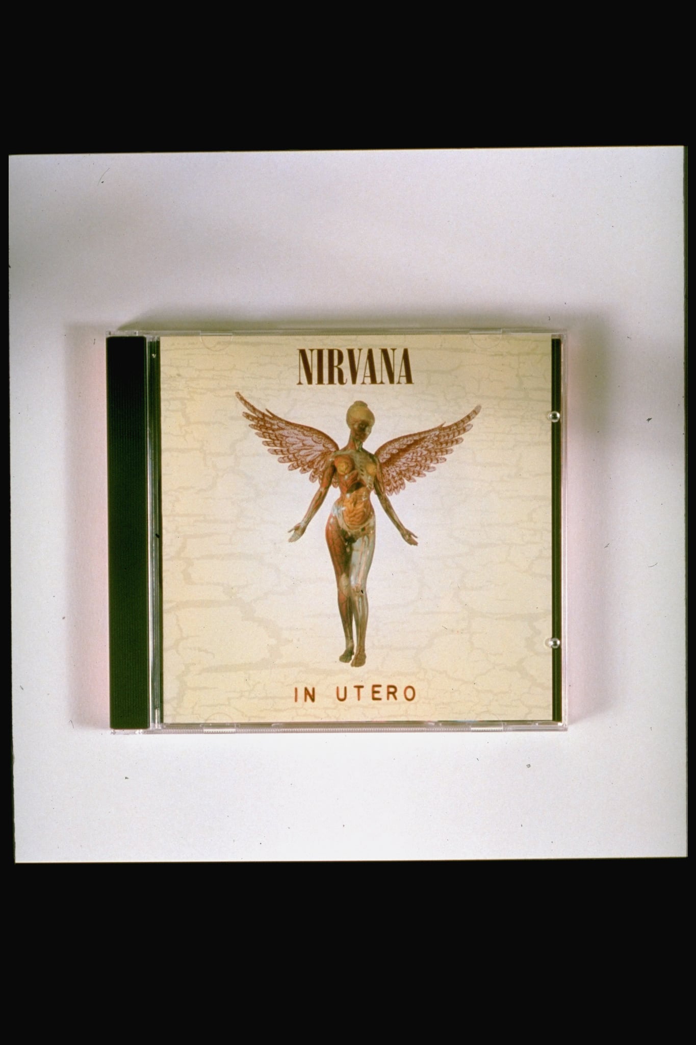 &#039;In Utero&#039; fue el tercer y último álbum de estudio de la banda estadounidense de grunge Nirvana.