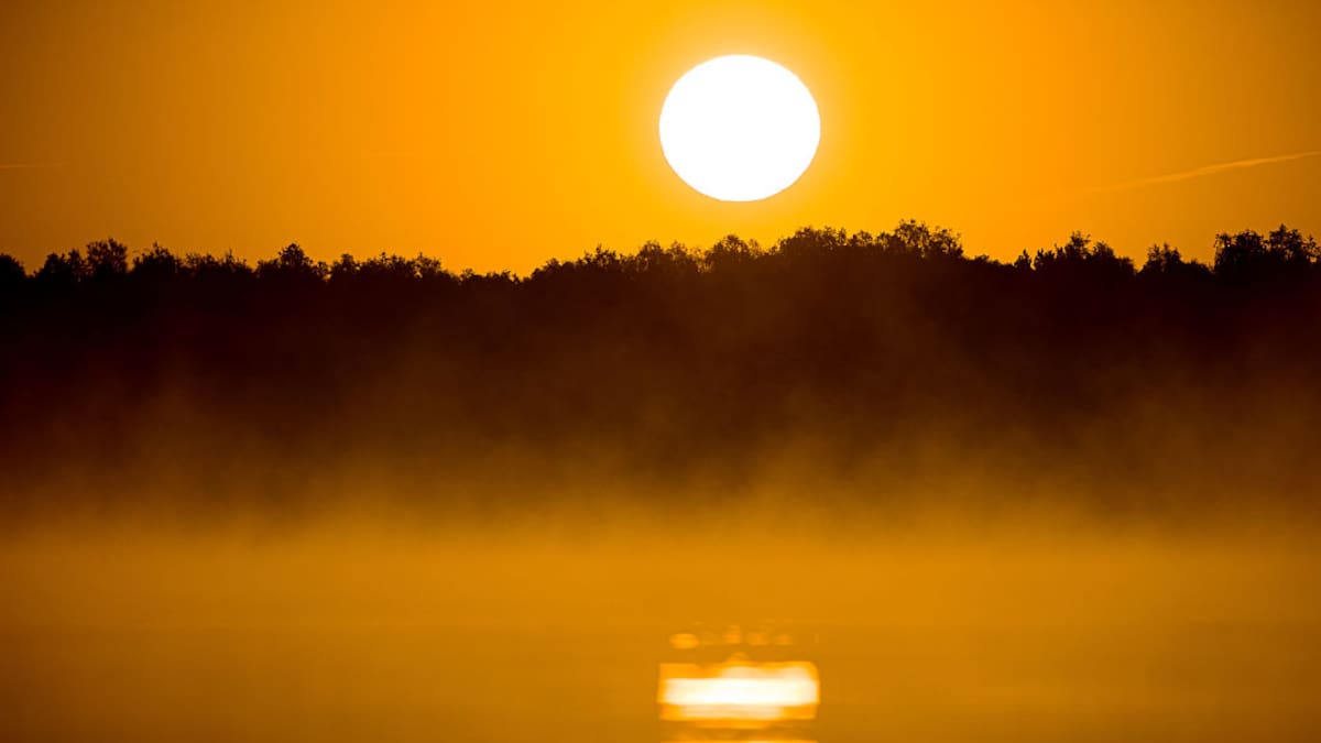Así sonaba el mundo antes del ruido: los científicos que reconstruyen el "silencio" perdido del planeta