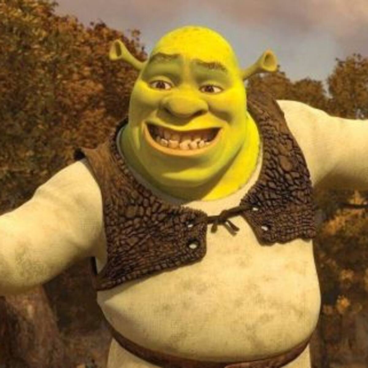 ¡Este chico es igual a Shrek!