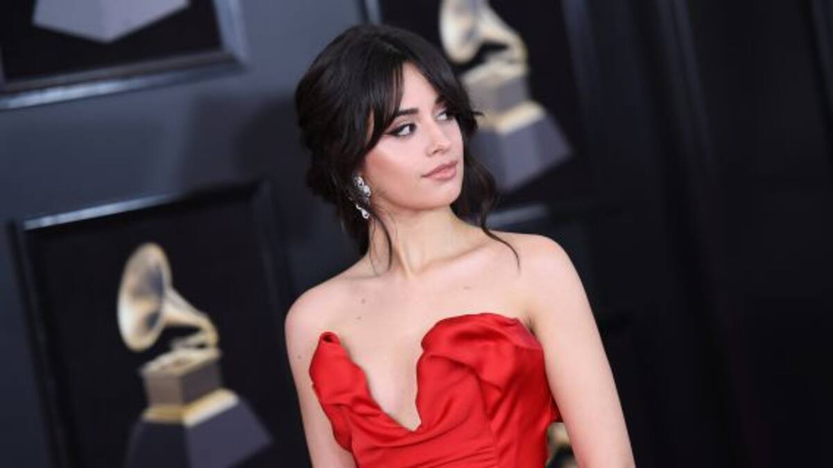 Descubrieron a Camila Cabello muy cerca de un famoso cantante