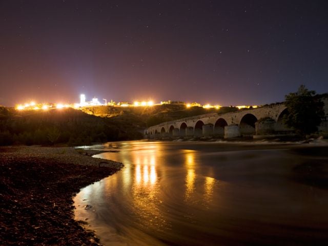 Toro de noche. 