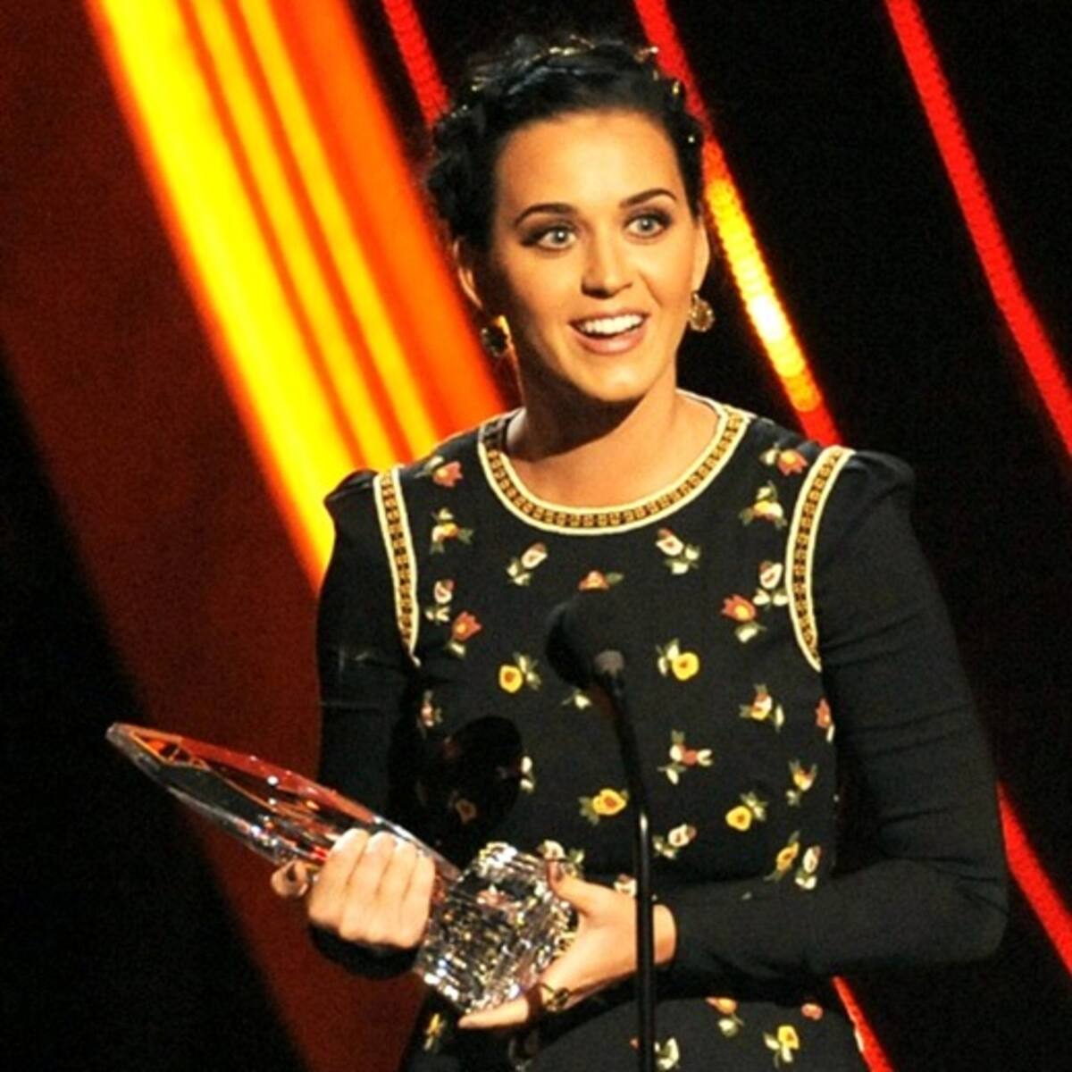 Los ganadores de los People's Choice Awards 2013