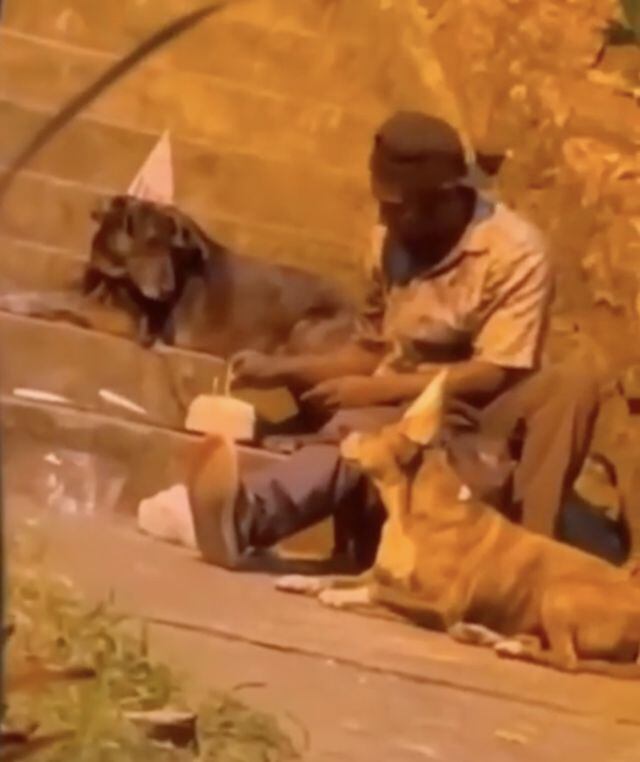 Viral: Hombre en situación de calle celebra su cumpleaños con sus perritos y un pastel