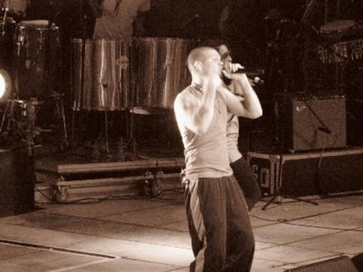 Concierto de Calle 13 Palmares 2009