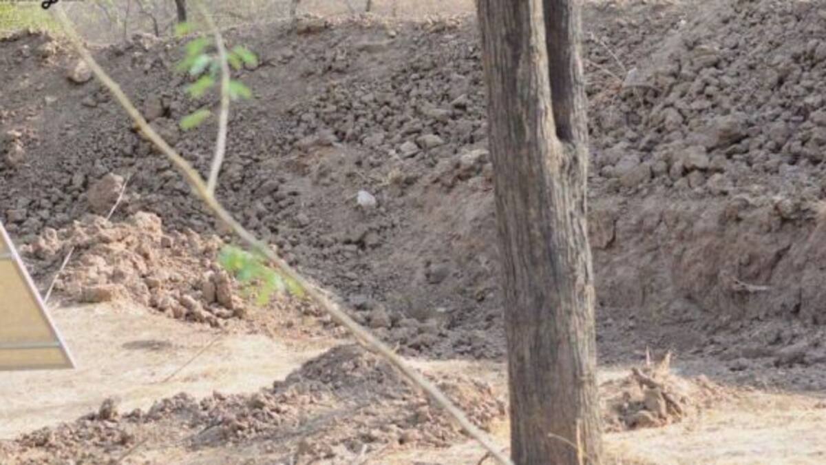 ¿Dónde está el leopardo? ¡Un nuevo desafío viral que nadie puede resolver!
