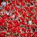 Programa de San Fermín 2024: conciertos, horario del chupinazo y encierro de toros